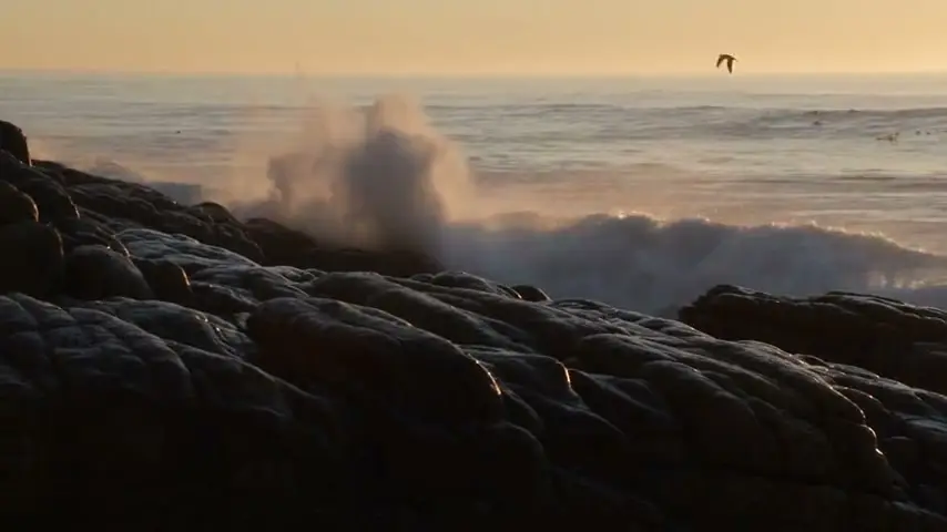 Waves rolling onto a rocky shore at golden hour, seagulls gliding overhead, spray catching the light, documentary handheld feel, natural ocean sound