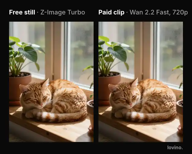 A sleeping cat still made with a free image model on the left and the 5 second clip animated from it with Wan 2.2 Fast on the right