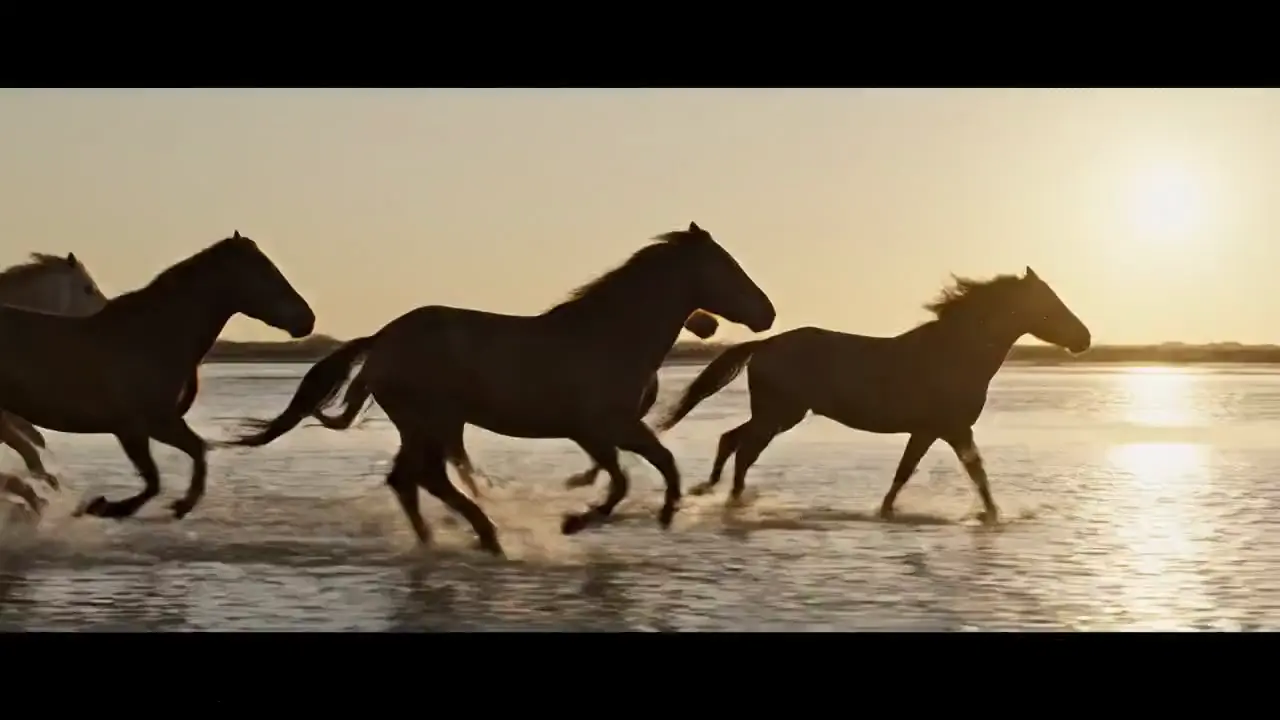 Wild horses galloping through shallow tidal flats at sunset, water spray backlit, cinematic warm-neutral color grade, soft directional key light, 35mm lens, shallow depth of field, natural skin tones, subtle film grain