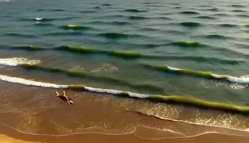 Slow aerial push over a turquoise cove at golden hour, gentle waves wrapping a sandbar, cinematic warm-neutral color grade, soft directional key light, 35mm lens, shallow depth of field, natural skin tones, subtle film grain