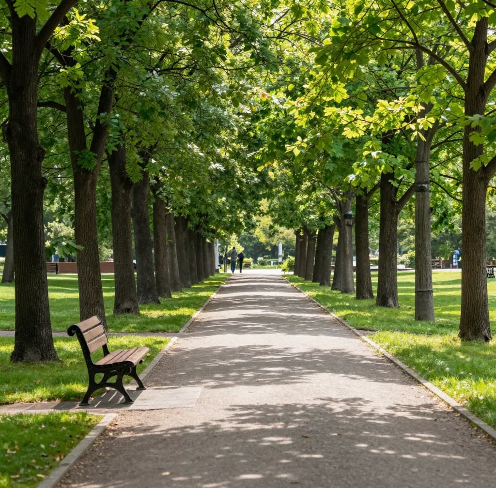A green park path lined with leafy trees in summer, with a bench