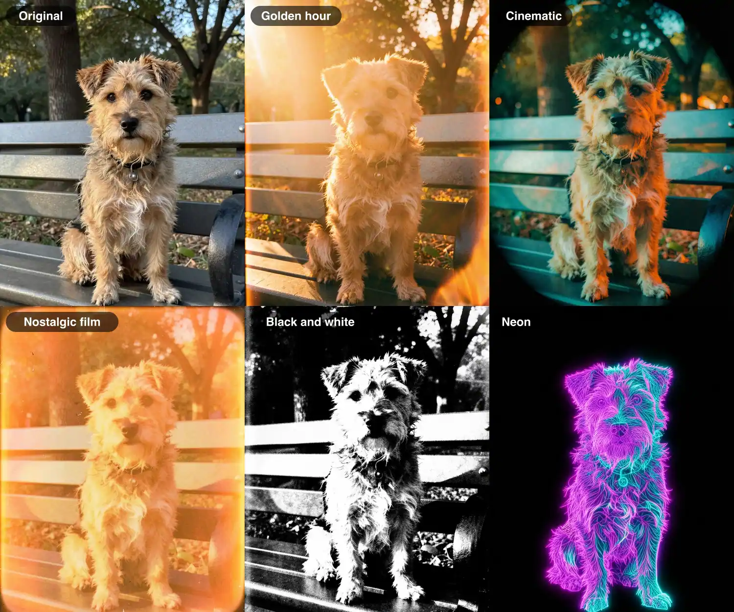 One AI-made photo of a terrier on a park bench, then the same photo restyled with five look prompts: golden hour, cinematic, nostalgic film, black and white and neon